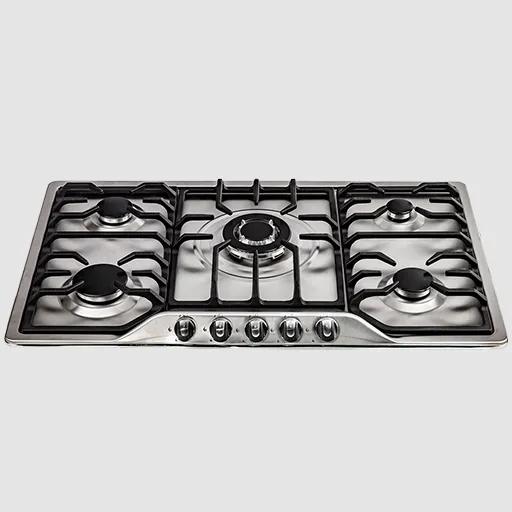 اجاق گاز استیل درسا مدل آنیل DG2200-5M