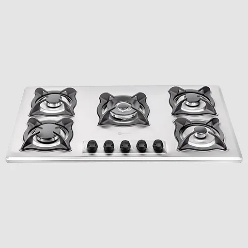 اجاق گاز استیل درسا مدل مانلی DG2204-5M
