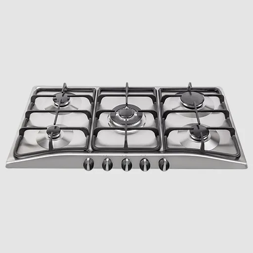 اجاق گاز استیل درسا مدل رایکا DG2207-5 M