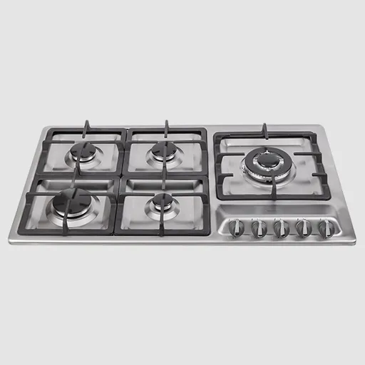 اجاق گاز استیل درسا مدل رایان DG2208-5R
