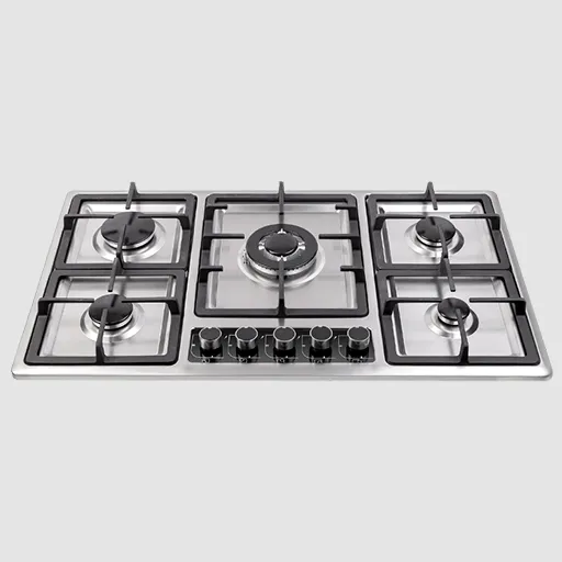 اجاق گاز استیل درسا مدل دنیا DG2302-5M